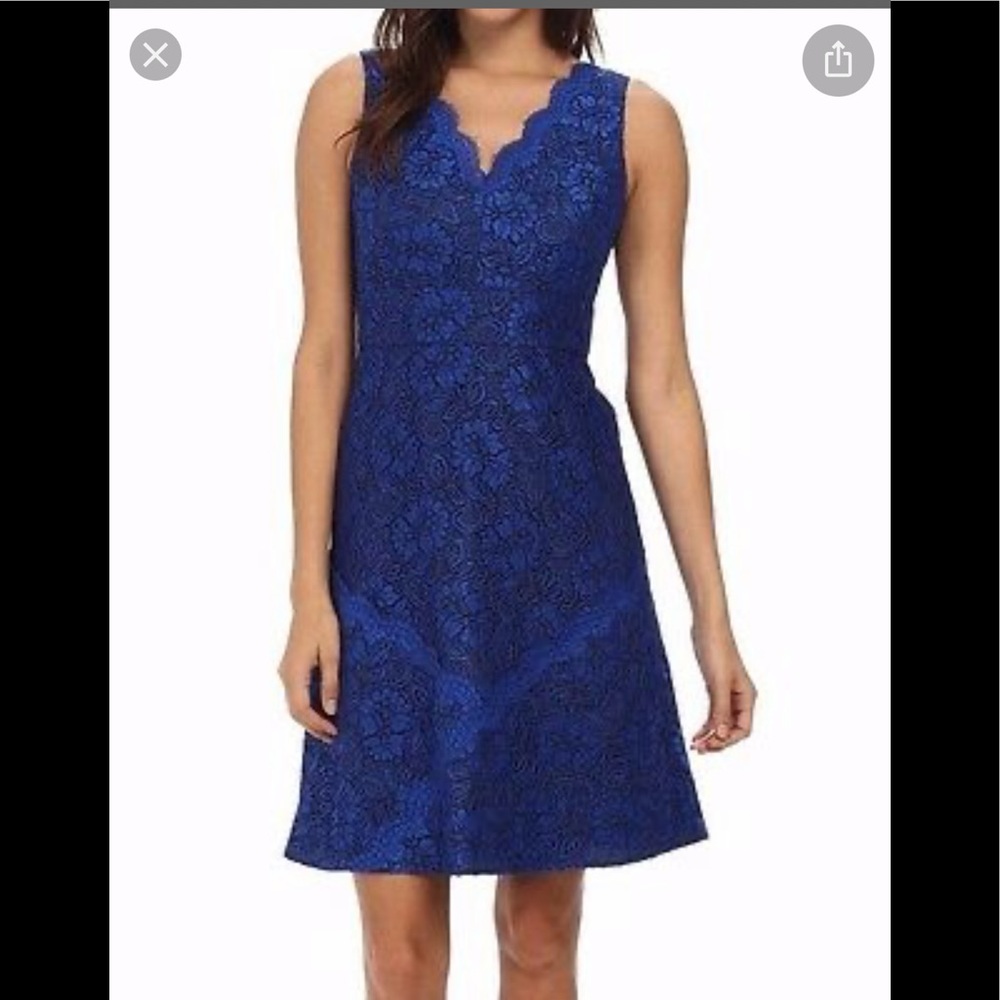 Beautiful Lace Calvin Klein Dress
